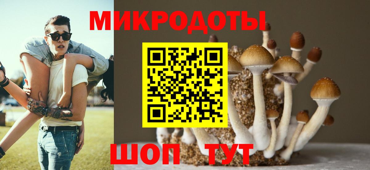 Псилоцибиновые грибы ЛСД  Вход с VPN  Заречный 