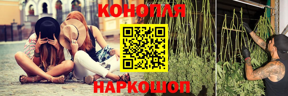 МАРИХУАНА план  Конопля семена  Заречный  Вход с VPN  Каннабис сатива 